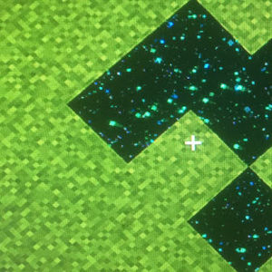 Meet your Posher, Florina